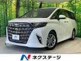 ガラスルーフ 純正14型ナビ 後席モニター 両側電動ドア 全周囲カメラ
