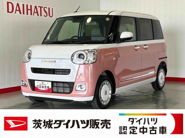 ムーヴキャンバス  ストライプス G