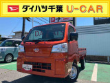 珍しいトニコオレンジです!!