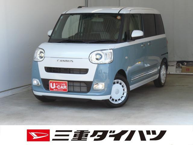 ムーヴキャンバス  ストライプス G