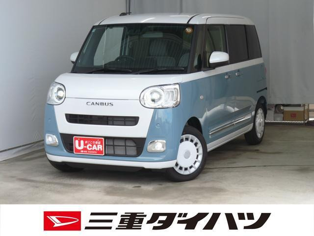 ムーヴキャンバス  ストライプス G