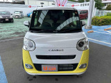 ムーヴキャンバス  ストライプス G