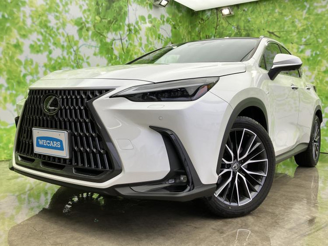 NX 250 バージョンL