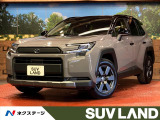 純正12.9型ディスプレイオーディオ ルーフレール パノラミックビュー