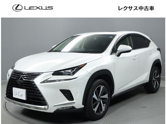 NX 300 Iパッケージ