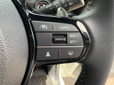 運転支援システムのスイッチになります。渋滞追従式の制御をしてくれますので、前方車両を検知して減速までサポートしてくれます!