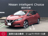 新世代のEVにふさわい、スリークなシルエットと先鋭的なディテールの2代目日産リーフ。バッテリー容量・航続距離も初代からグレードアップ