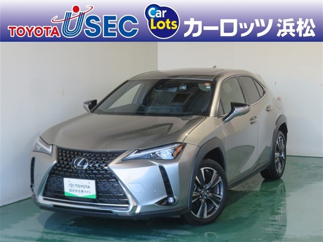 UX 250h グレイスフル エクスプローラー 