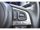 アイサイトの操作スイッチ。クルーズコントロールと連動し、前方車両についていくこともできます。