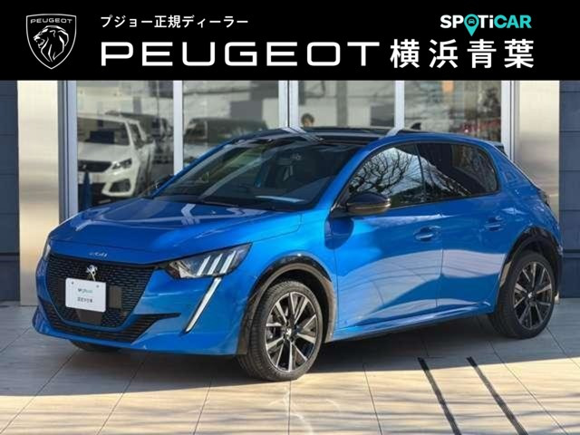 e-208 GT 