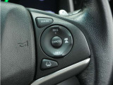 ◆アダプティブクルーズコントロール◆予め設定した車速内でクルマが自動的に加減速。前走車との適切な車間距離を維持しながら追従走行します。【LKAS】車線維持支援システムでステアリング操作を支援。