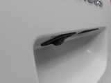 ムーヴキャンバス  ストライプス G
