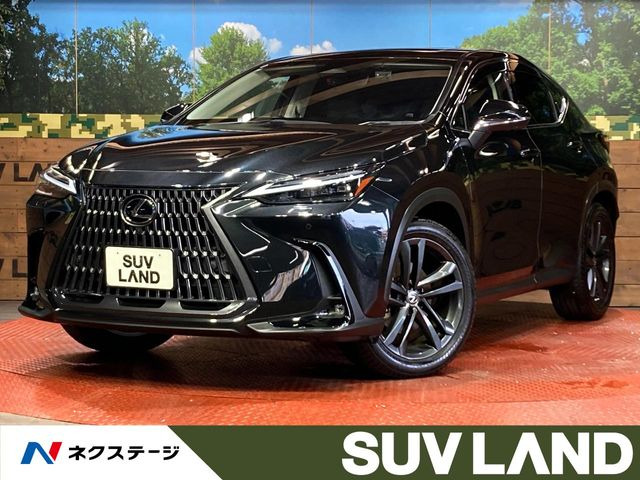 NX 250 バージョンL