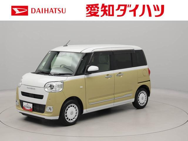 ムーヴキャンバス  ストライプス G