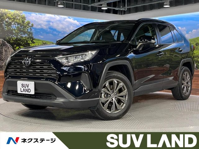RAV4 2.0 X 