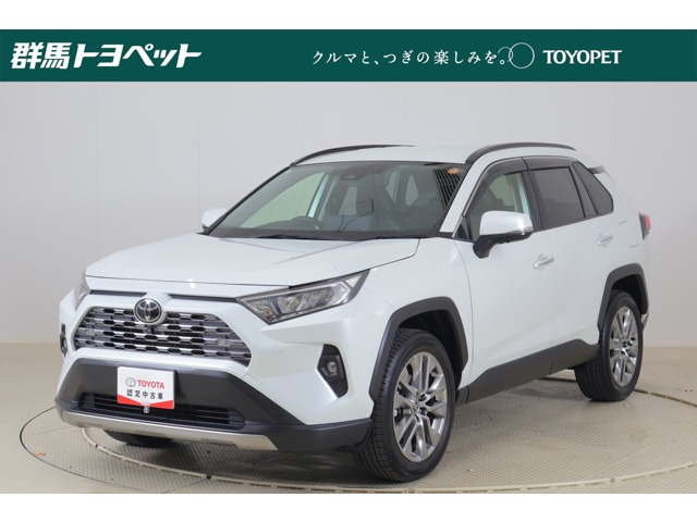 RAV4  2.0 G Zパッケージ 4WD