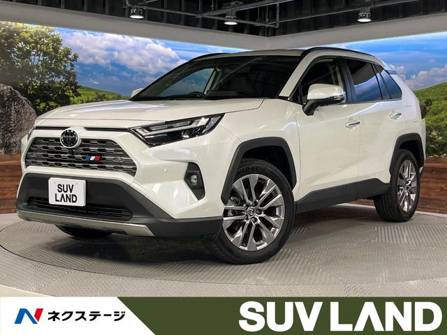 RAV4 2.0 G Zパッケージ 4WD 