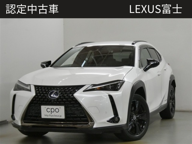 UX 250h