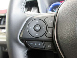 ステアリングスイッチは前方から目を離すことなく操作することが可能。わき見運転の防止に。