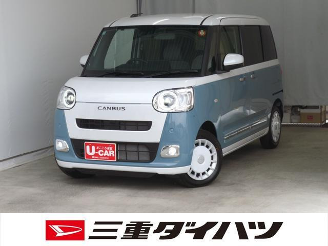 ムーヴキャンバス  ストライプス G