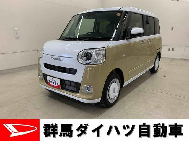 ムーヴキャンバス  ストライプス G