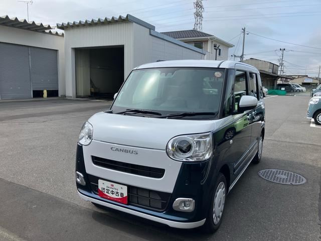 ムーヴキャンバス  ストライプス G