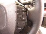 レーダークルーズコントロール(全車速追従機能付)