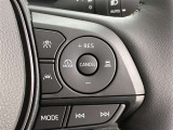 前方の車との車間を設定し、スピードを上げたり緩めたりを自動で行ってくれる追尾式の「レーダークルーズ」。上級装備の一つです!高級車にしかつかない嬉しい機能です。