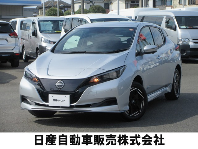 リーフ e+ X 