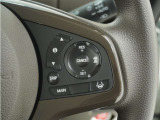 ◆アダプティブクルーズコントロール◆予め設定した車速内でクルマが自動的に加減速。前走車との適切な車間距離を維持しながら追従走行します。【LKAS】車線維持支援システムでステアリング操作を支援。