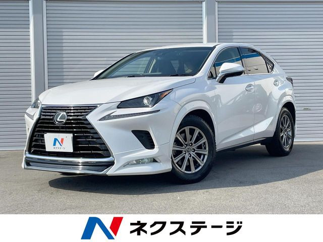NX 300 