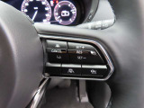 前車追従機能付きのレーダークルーズを備えています。自動で車間距離を調整してくれますので、アクセル操作の疲労軽減に繋がります。特に長距離を帰省される方にはお奨めですよ。