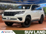 禁煙車 サンルーフ BIG-X10型ナビ バックカメラ 後席モニター