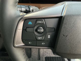 今話題のプロパイロット付きです!高速道路などでその実力は大いに発揮するでしょう。