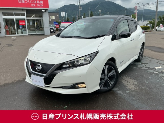 リーフ G 