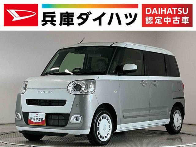 ムーヴキャンバス  ストライプス G