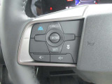 運転をもっと楽しくするプロパイロット。自動制御により渋滞や高速時にドライバーをサポート。