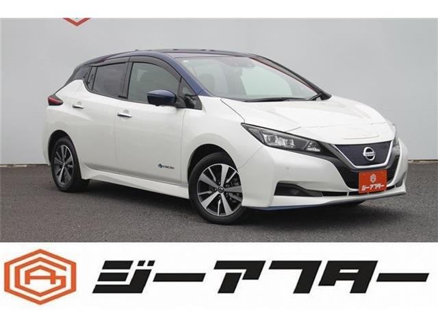 リーフ e+ X 