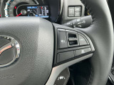 高速道路での走行をサポートしてくれます