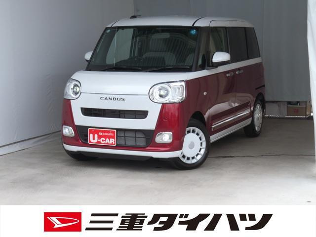 ムーヴキャンバス  ストライプス G