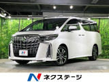 両側電動ドア BIG-X11型ナビ 後席モニター バックカメラ