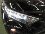 精悍な3灯式LEDランプ+LEDクリアランスランプ+LEDデイライト(オートレベリング機能付)