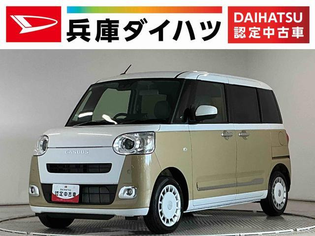 ムーヴキャンバス  ストライプス G