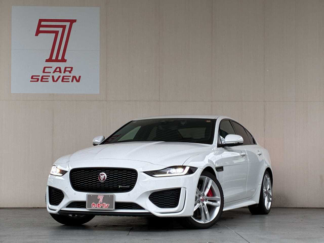XE  R-ダイナミック S
