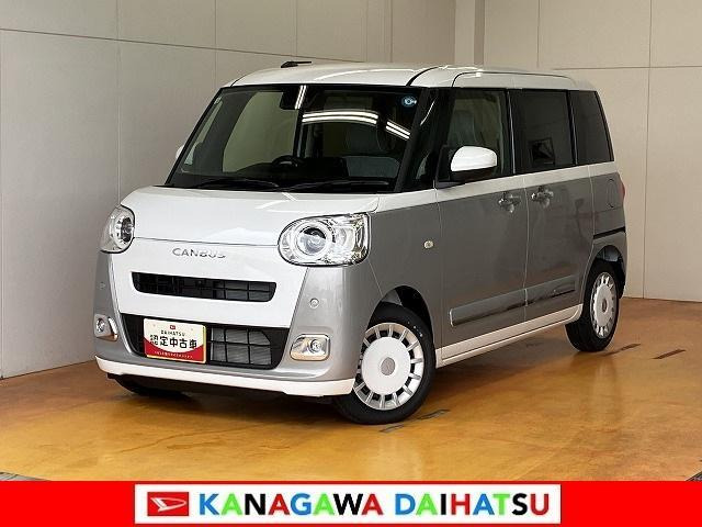 ムーヴキャンバス  ストライプス G