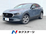 メーカーナビ 全周囲カメラ BOSEサウンドシステム レーダークルーズ