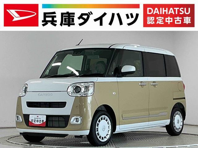 ムーヴキャンバス  ストライプス G