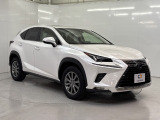 NX 300h Iパッケージ 