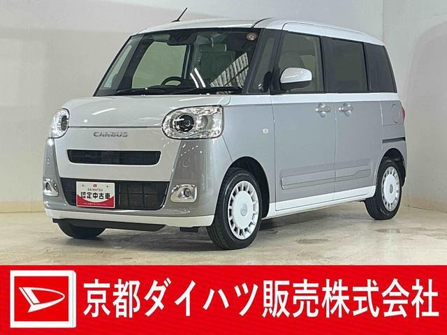 ムーヴキャンバス  ストライプス G