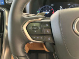 オーディオや運転支援機能などを手元で操作できるステアリングスイッチ。操作時の視線移動が少なく、安全にも貢献します。
